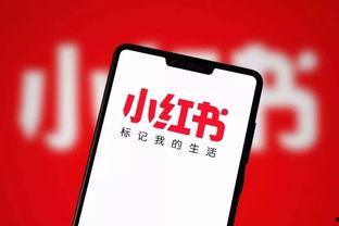 社会热点话题事件2025 娱乐新闻,年度热点事件盘点与回顾